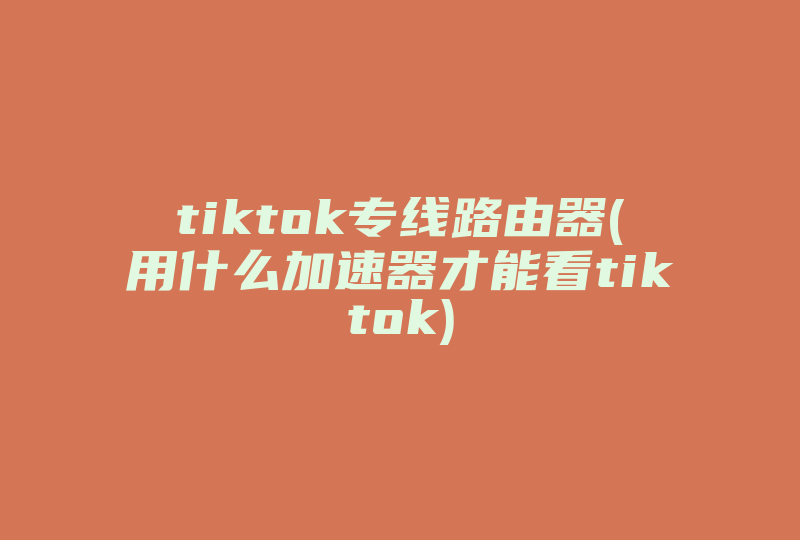 tiktok专线路由器(用什么加速器才能看tiktok)-国际网络专线