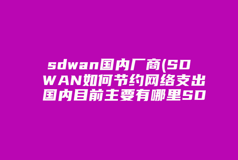 sdwan国内厂商(SD WAN如何节约网络支出 国内目前主要有哪里SD WAN厂家和服务商 )-国际网络专线