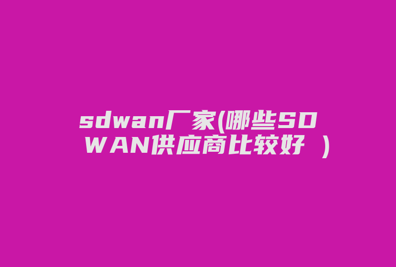 sdwan厂家(哪些SD WAN供应商比较好 )-国际网络专线