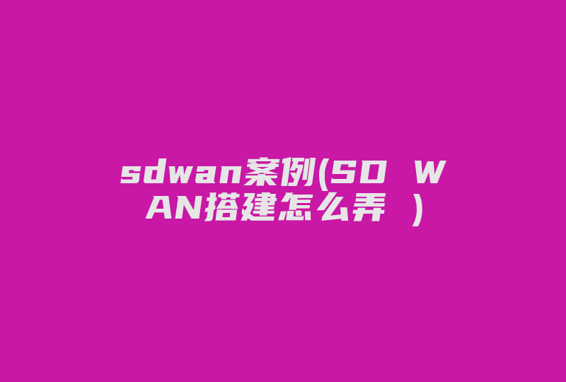 sdwan案例(SD WAN搭建怎么弄 )-国际网络专线