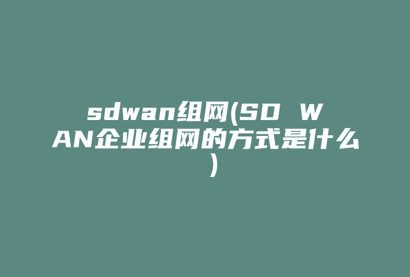 sdwan组网(SD WAN企业组网的方式是什么 )-国际网络专线