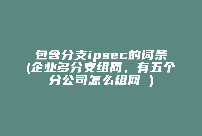 包含分支ipsec的词条(企业多分支组网，有五个分公司怎么组网 )-国际网络专线