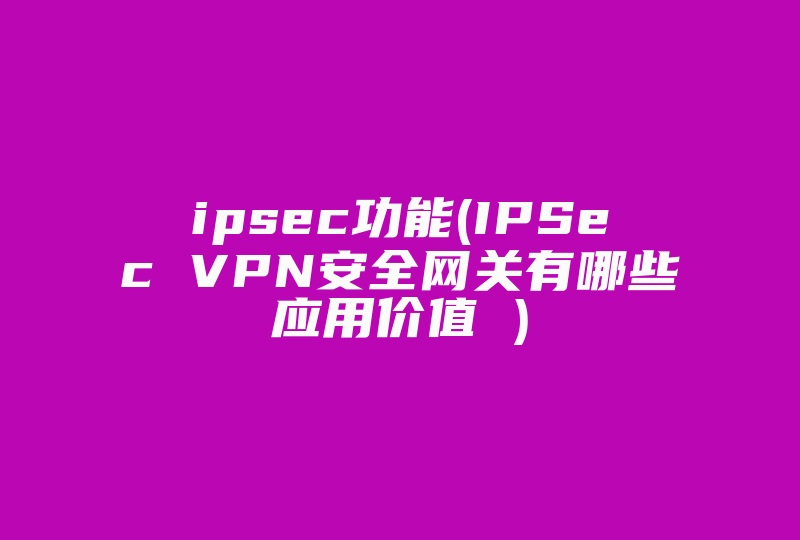 ipsec功能(IPSec VPN安全网关有哪些应用价值 )-国际网络专线