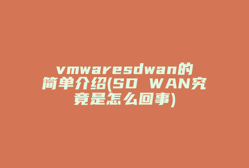 vmwaresdwan的简单介绍(SD WAN究竟是怎么回事)-国际网络专线