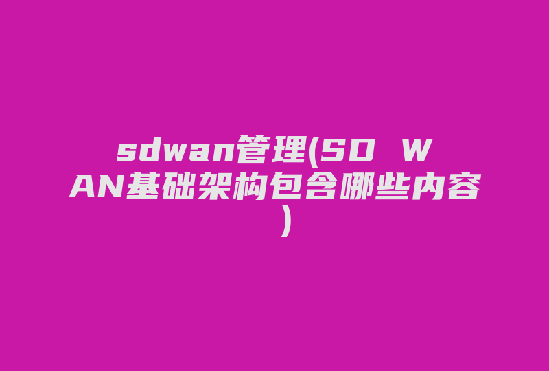 sdwan管理(SD WAN基础架构包含哪些内容 )-国际网络专线