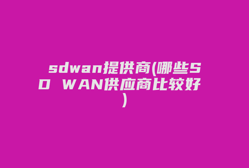 sdwan提供商(哪些SD WAN供应商比较好 )-国际网络专线