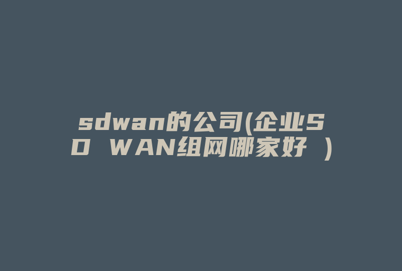 sdwan的公司(企业SD WAN组网哪家好 )-国际网络专线