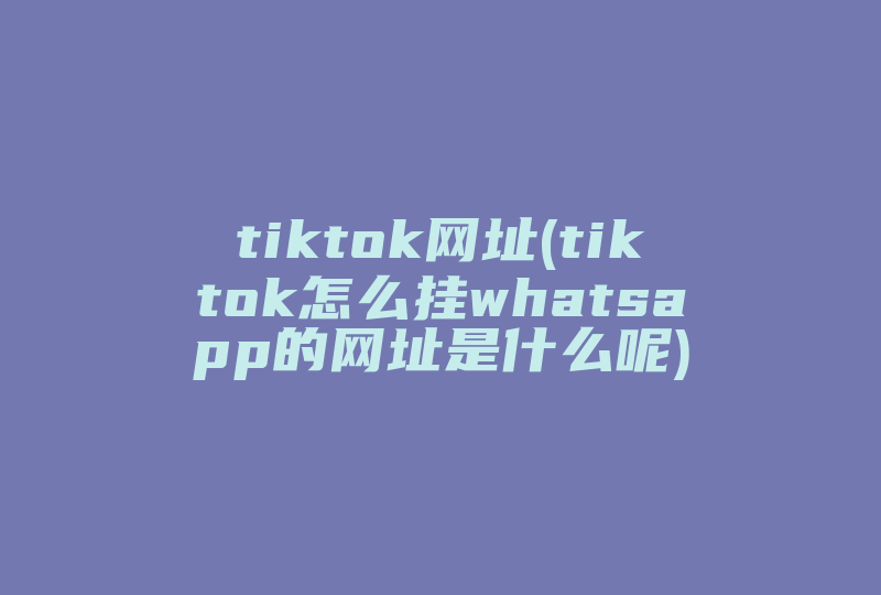 tiktok网址(tiktok怎么挂whatsapp的网址是什么呢)-国际网络专线