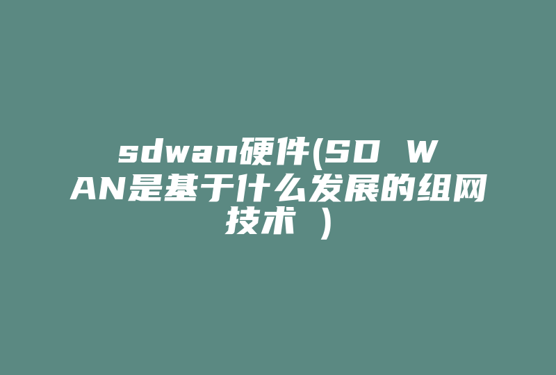 sdwan硬件(SD WAN是基于什么发展的组网技术 )-国际网络专线