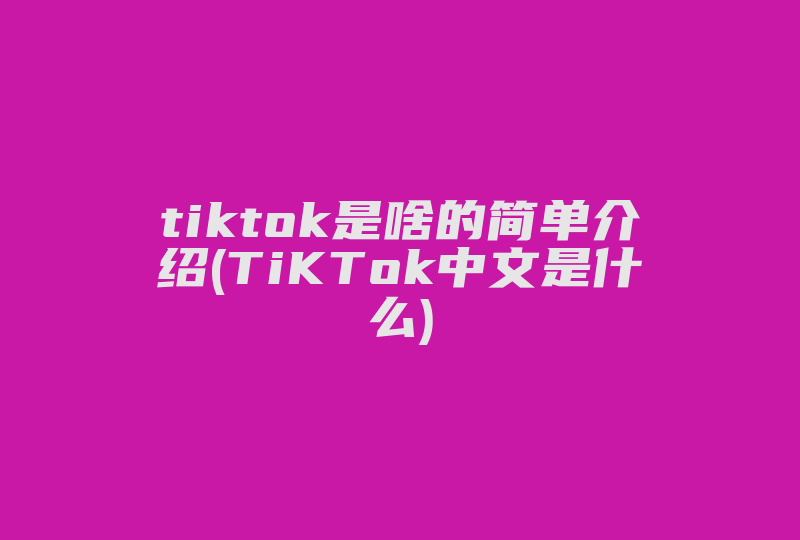 tiktok是啥的简单介绍(TiKTok中文是什么)-国际网络专线