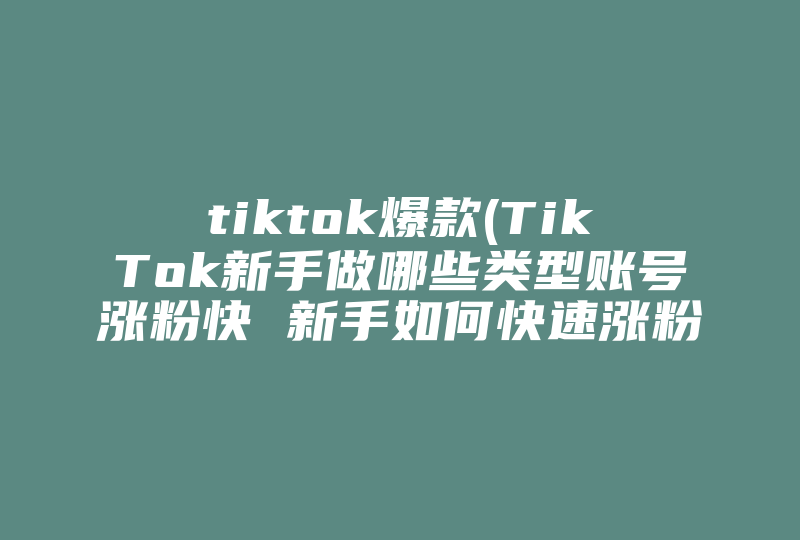 tiktok爆款(TikTok新手做哪些类型账号涨粉快 新手如何快速涨粉 )-国际网络专线
