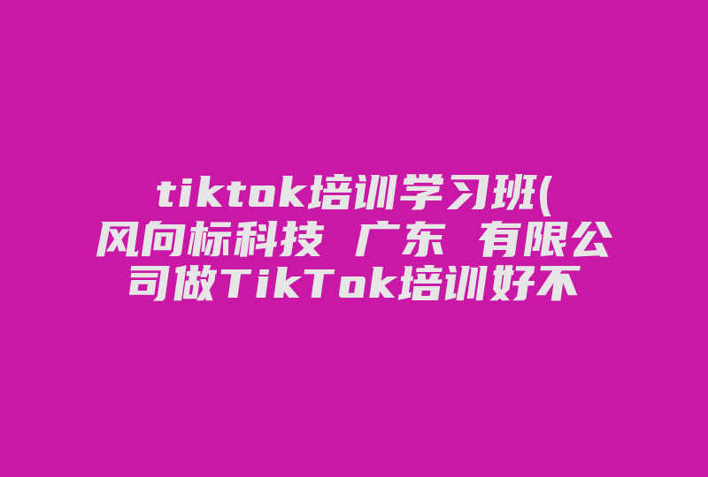 tiktok培训学习班(风向标科技 广东 有限公司做TikTok培训好不好 )-国际网络专线