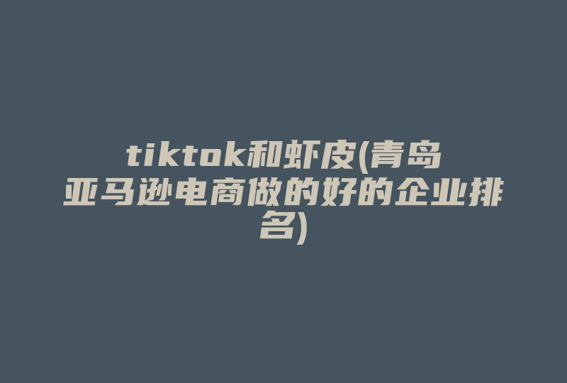 tiktok和虾皮(青岛亚马逊电商做的好的企业排名)-国际网络专线