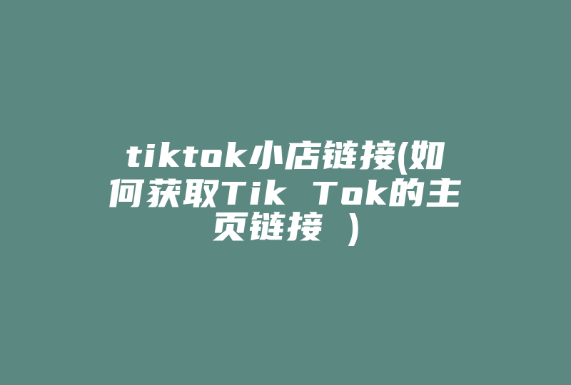 tiktok小店链接(如何获取Tik Tok的主页链接 )-国际网络专线