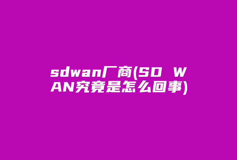 sdwan厂商(SD WAN究竟是怎么回事)-国际网络专线