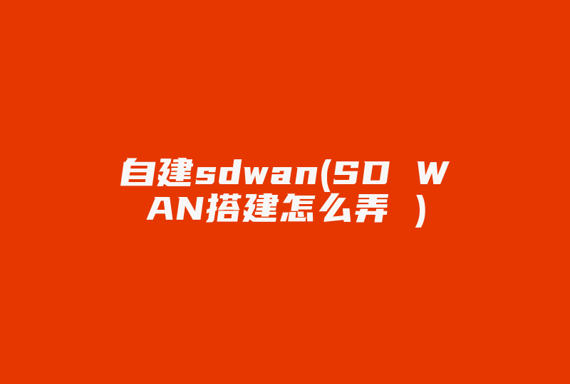 自建sdwan(SD WAN搭建怎么弄 )-国际网络专线