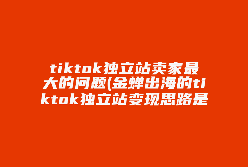 tiktok独立站卖家最大的问题(金蝉出海的tiktok独立站变现思路是什么啊 )-国际网络专线