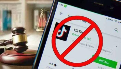 在哪里下载tiktok,在哪里下tiktok?-国际网络专线