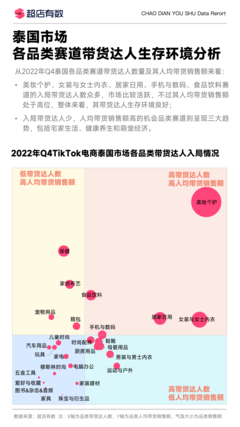 2022年抖音的收入TikTok环境-国际网络专线