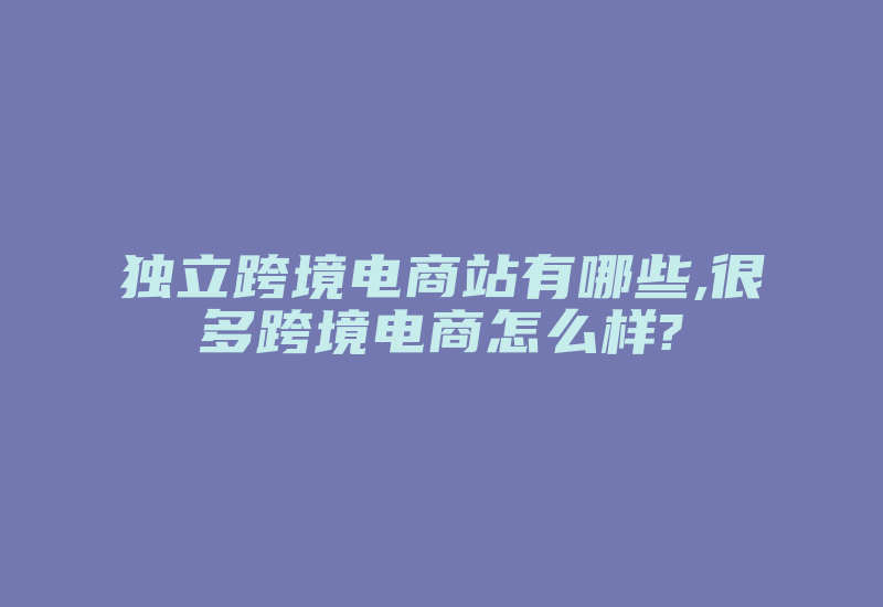 独立跨境电商站有哪些,很多跨境电商怎么样?-国际网络专线