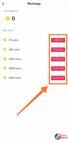 tk跨境电商充值99安全吗?Tik Tok的赚钱软件有哪些?-国际网络专线