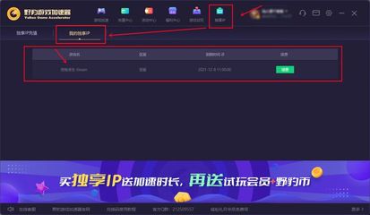 爱加速国外ip,hypixel加速ip-国际网络专线