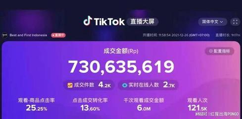 如何开立tiktok账户,北京越洋科技有限公司-国际网络专线