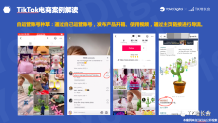 东南亚的Tiktok带货,国外的Tik Tok tiktok带货-国际网络专线