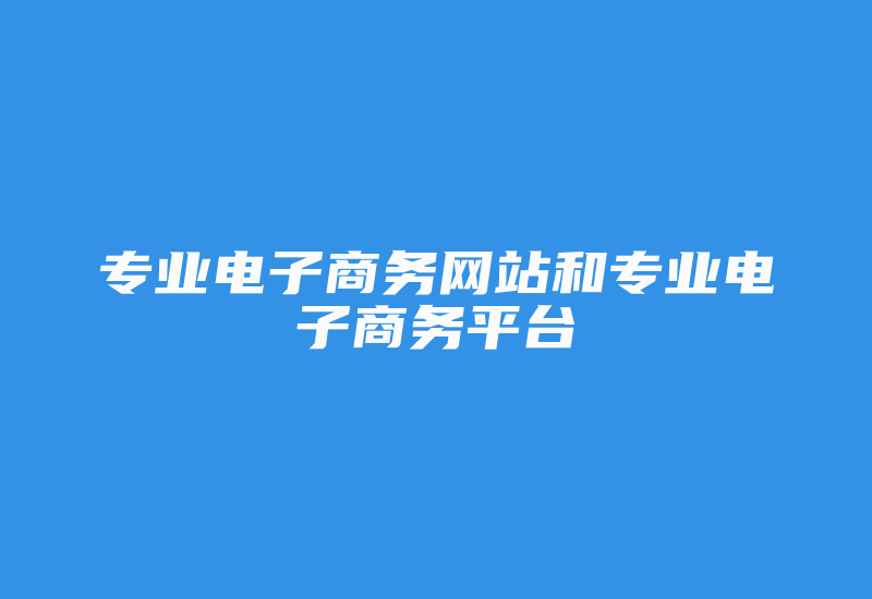 专业电子商务网站和专业电子商务平台-国际网络专线