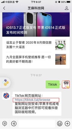 网页版tiktok入口,如何在中国使用国际版tiktok?-国际网络专线