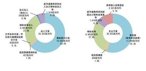 国外上国内网加速器