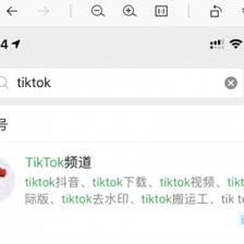 推荐几个tiktok你懂的知道火鸡吗?-国际网络专线