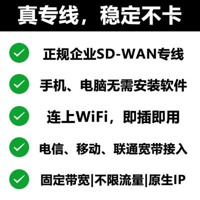 如何在专用网络中设置路由器和建立专线?-国际网络专线