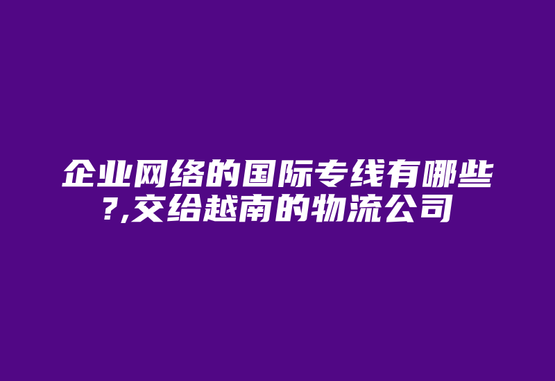 企业网络的国际专线有哪些?,交给越南的物流公司-国际网络专线