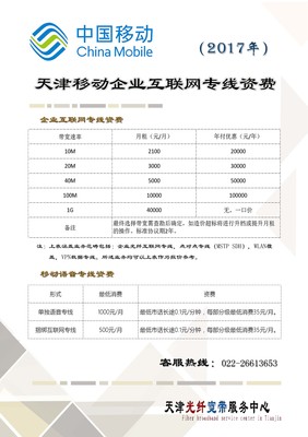 数据线和专用互联网接入哪个更贵,什么是专用互联网接入?-国际网络专线