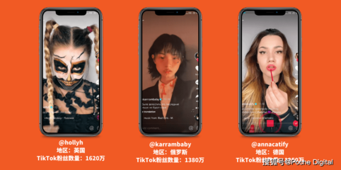 抖音在海外赚钱吗?,TIKTOK品牌海洋孵化公司-国际网络专线