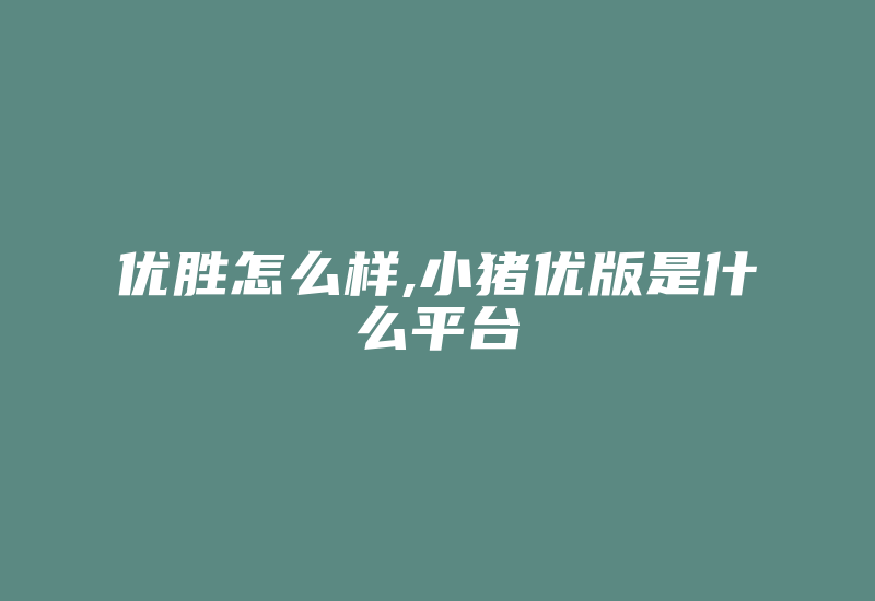 优胜怎么样,小猪优版是什么平台-国际网络专线