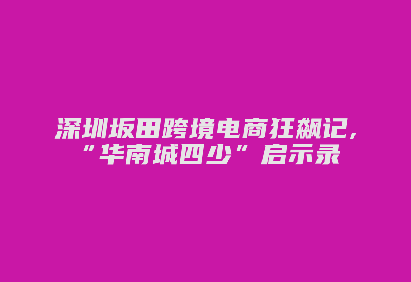 深圳坂田跨境电商狂飙记,“华南城四少”启示录-国际网络专线