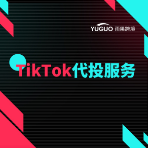 海外tiktok代运营,TikTok代投什么意思-国际网络专线